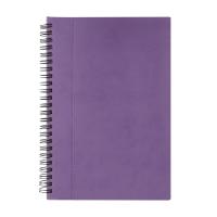 KIT THE AMETHYST AGENDA